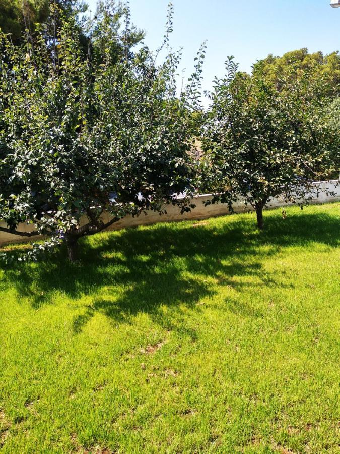 House Of Silence Appartement Trogir Buitenkant foto